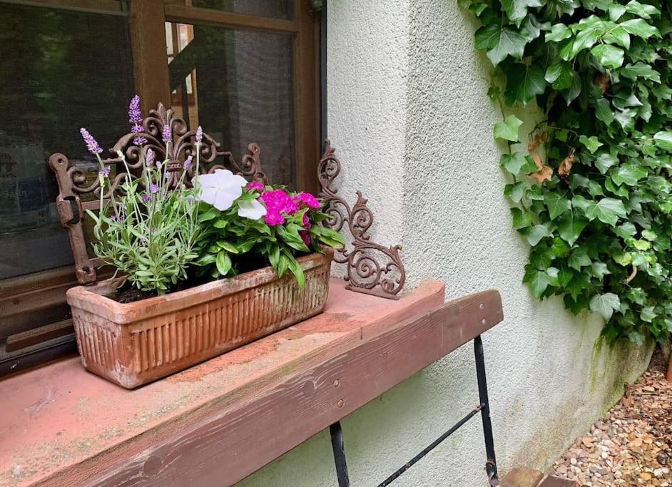 Ferienwohnung In Historischer Muehle Buchen  Extérieur photo